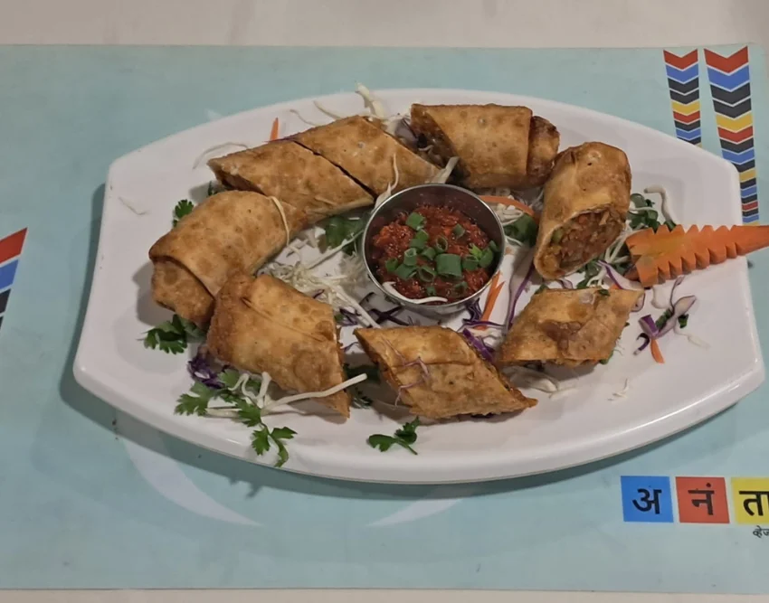 Paneer Spring Roll